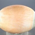 Celestobarite Palmstone (Extra Grade)  ~70x50mm