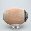 Celestobarite Palmstone (Extra Grade) ~70x50mm