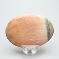 Celestobarite Palmstone (Extra Grade) ~70x50mm