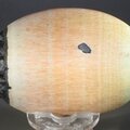 Celestobarite Palmstone (Extra Grade) ~70x50mm