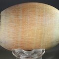 Celestobarite Palmstone (Extra Grade) ~70x50mm