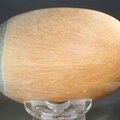 Celestobarite Palmstone (Extra Grade) ~70x50mm
