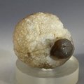 Chalcedony Womb Stone ~33mm