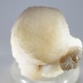 Chalcedony Womb Stone ~40mm