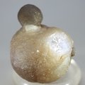 Chalcedony Womb Stone ~42mm