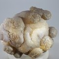 Chalcedony Womb Stone ~50mm