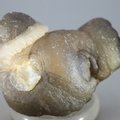 Chalcedony Womb Stone ~55mm