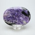 Charoite Palmstone (Extra Grade) ~70x50mm
