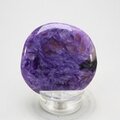 Charoite Polished Flat TumbleStone ~43mm