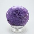 Charoite Polished Flat Tumblestone ~45mm