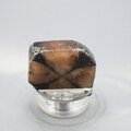 Chiastolite Polished Slice ~30mm