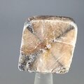 Chiastolite Polished Slice ~30mm