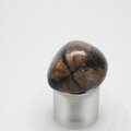 Chiastolite Polished Stone ~23mm