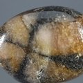 Chiastolite Tumblestone ~24mm