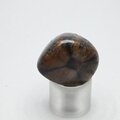 Chiastolite Polished Stone ~24mm