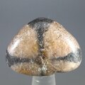 Chiastolite Polished Stone ~25mm