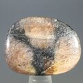 Chiastolite Polished Stone ~26mm