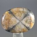 Chiastolite Polished Stone ~26mm