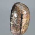 Chiastolite Tumblestone ~33mm