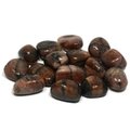 Chiastolite Tumble Stone (15-20mm)