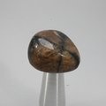 Chiastolite Tumblestone ~25mm