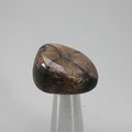 Chiastolite Tumblestone ~26mm