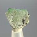 Chrome Diopside Healing Crystal (Tanzania) ~21mm