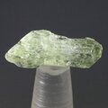 Chrome Diopside Healing Crystal (Tanzania) ~22mm