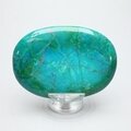 Chrysocolla Howlite Palmstone (Extra Grade) ~70x50mm