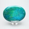 Chrysocolla Howlite Palmstone (Extra Grade) ~70x50mm