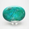 Chrysocolla Howlite Palmstone (Extra Grade) ~70x50mm