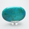 Chrysocolla Howlite Palmstone (Extra Grade) ~70x50mm