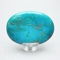 Chrysocolla Howlite Palmstone (Extra Grade) ~70x50mm