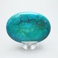 Chrysocolla Howlite Palmstone (Extra Grade) ~70x50mm