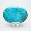 Chrysocolla Howlite Palmstone (Extra Grade) ~70x50mm