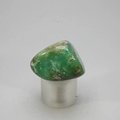 Chrysoprase Tumblestone ~27mm