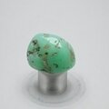 Chrysoprase Tumblestone ~30mm