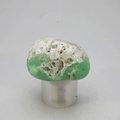 Chrysoprase Tumblestone ~31mm