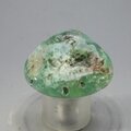 Chrysoprase Tumblestone ~32mm
