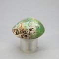 Chrysoprase Tumblestone ~33mm