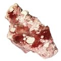 Cinnabar in Opal Healing Crystal