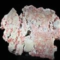 Cinnabar in Opal Natural Slice ~85mm