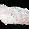 Cinnabar in Opal Natural Slice ~98mm