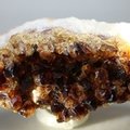 Citrine Cluster ~105 x 45mm