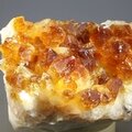 Citrine Cluster ~55mm
