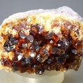 Citrine Cluster ~56mm