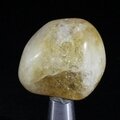 Citrine Tumblestone ~34mm
