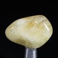 Citrine Tumblestone ~36mm