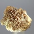 Colemanite Healing Mineral ~20mm