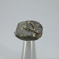 Colombianite Healing Crystal ~23mm